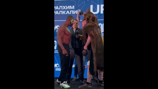 Дацик настоящий русский медведь #бокс #boxingtv