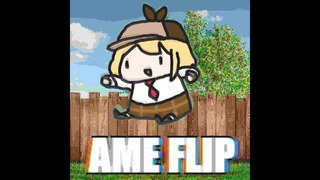 AME FLIP