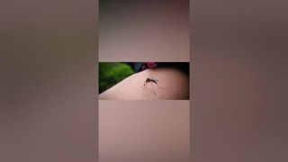 Как комары выбирают жертву