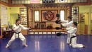 Fantastic kicks Taekwon-do