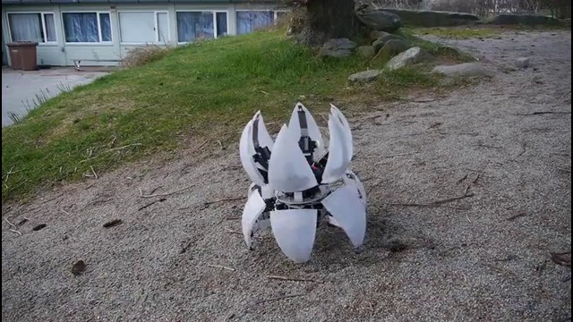 MorpHex, the incredible hexapod robot