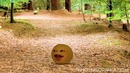 Annoying Orange – Once Upon an Orange