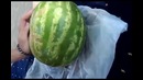 Как резать арбуз если у вас нет ножа