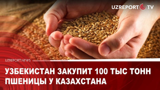 УЗБЕКИСТАН ЗАКУПИТ 100 ТЫС ТОНН ПШЕНИЦЫ У КАЗАХСТАНА