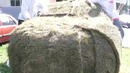 СтопХам 6 – ГАЗон/Grass parking in Russia
