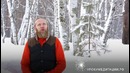 О жизни и смерти