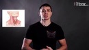 Выпуcк №18. Жиросжигатели. Часть 2