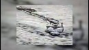 Необъяснимые морские существа, снятые на камеру