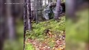 Британец снял на видео «дыхание земли»