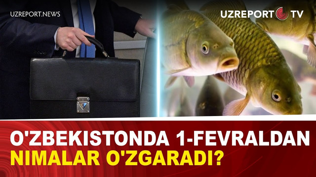 O’zbekistonda 1-fevraldan nimalar o’zgaradi