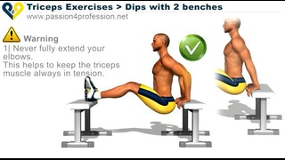 Triceps Exercises dips 2 benches