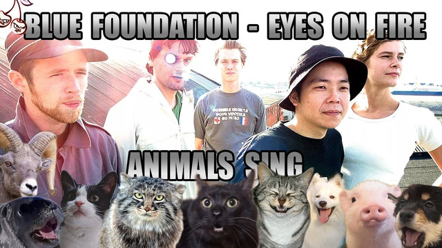 Blue Foundation – Eyes On Fire (Animal Cover)