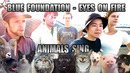 Blue Foundation – Eyes On Fire (Animal Cover)