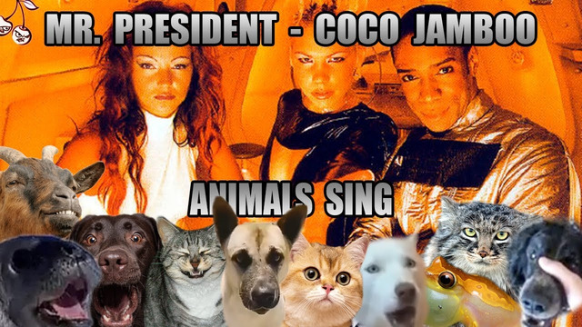 Mr. President – Coco Jamboo (Animal Cover)