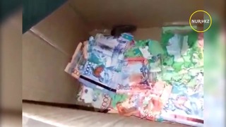 Мыши погрызли деньги в банкомате (Казахстан)