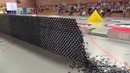 128,000 Dominoes – Falling into past – a journey around the world (2 Guinness World Records)