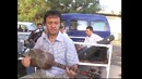 Alijon