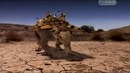 Затерянные миры. Последняя битва динозавров. Документальный фильм