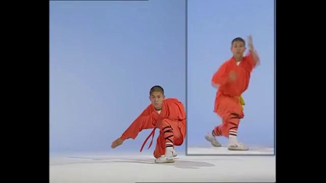 Shaolin kung-fu. 18 стиль богомола