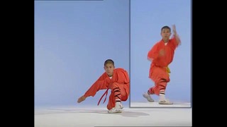 Shaolin kung-fu. 18 стиль богомола
