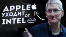 Почему Apple отказались от Intel, как Adobe игнорят Linux и чего ждать от AMD, Nvidia и Intel