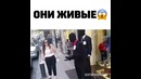 Они живые
