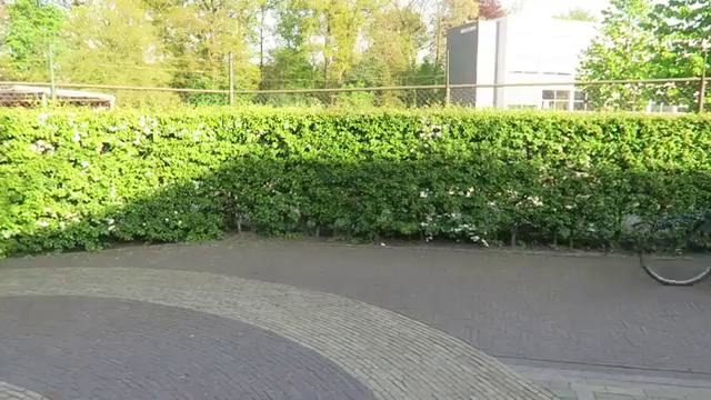 Day in The Life of a CS GO Smurf