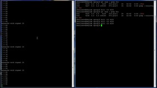 C Programming in Linux Tutorial #055 – Signals