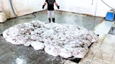 Men Use Never Seen Before Technique to Clean EXTREMELY DIRTY Carpet @change-cleaning-service-center