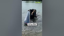 Canoe please stop laughing