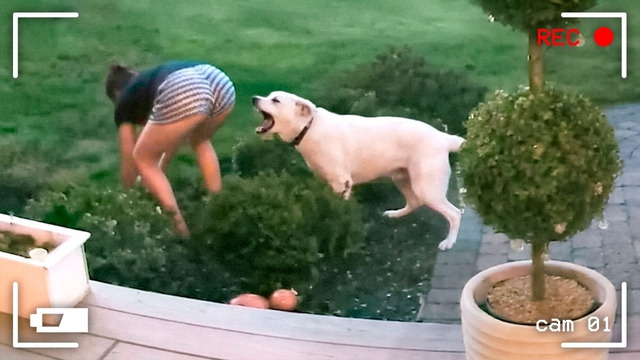 200 НЕВЕРОЯТНЫХ ВЕЩЕЙ, СНЯТЫХ НА КАМЕРУ. ЛУЧШЕЕ ЗА МЕСЯЦ