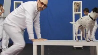 OK Go White Knuckles Official Video