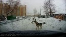 Чуть машину у девушки не отжали