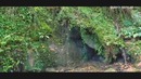 Yovvoyi makonlar. Irlandiya (Undiscovered Vitas)