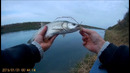 Поимка двух жерешков на Water Moccasin