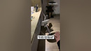 Parkour par-cat