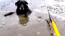Спасение своего друга из ледяной воды