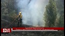 Сокровище нации в опасности: пожары в парке Йосемити в США бушуют уже десятые сутки