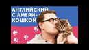 Из кошки в АМЕРИКОШКУ: экспресс-курс английского
