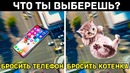 А что бы выбрали вы? видео тест личности