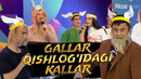 QVZ 2021 | Maroqandlik bojalar jamoasi | Gallar qishlog’idagi kallar