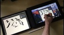 IPad Pro Apple Pencil Astropad vs. Cintiq 13HD comparison