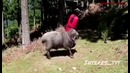 Барашка 2