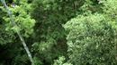 Nat Geo Wild: Дикий Индокитай
