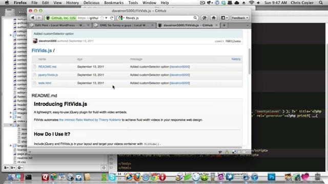 103 Integrating FitVids.js into WordPress