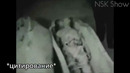 КГБ Это Засекретило Но Ужасная Тайна Стала Известна