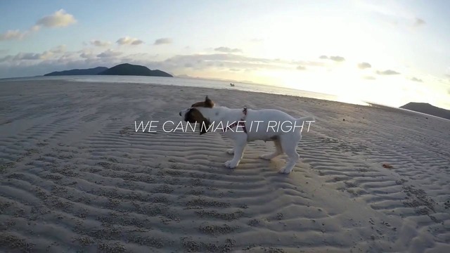 Malifoo feat. Shach Seven – No Love (Official Lyric Video)