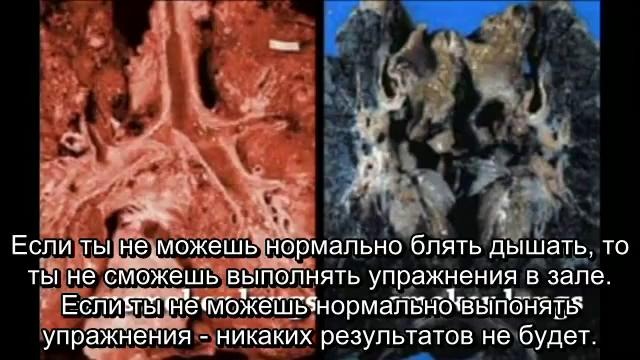 HodgeTwins – Анаша, Сигареты и Бодибилдинг