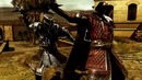 Assassin’s Creed: Revelations «Крестоносец»