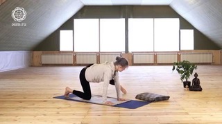 Хатха-йога. Мягкая практика. Марина Лысяк